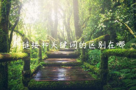 刷鏈接和關(guān)鍵詞的區(qū)別在哪